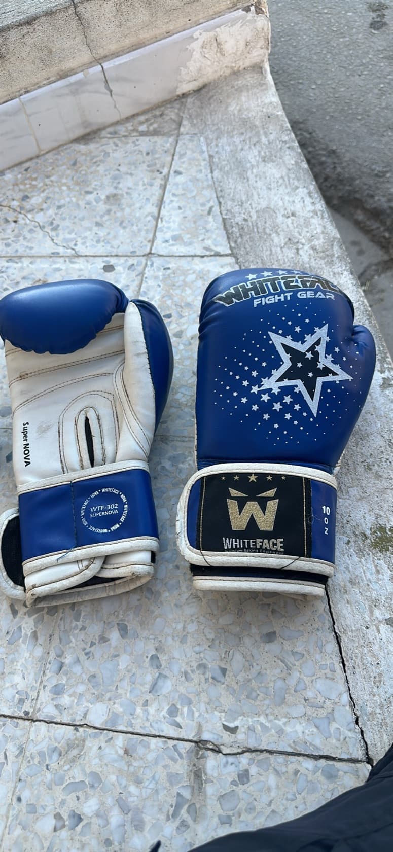 Gant boxing