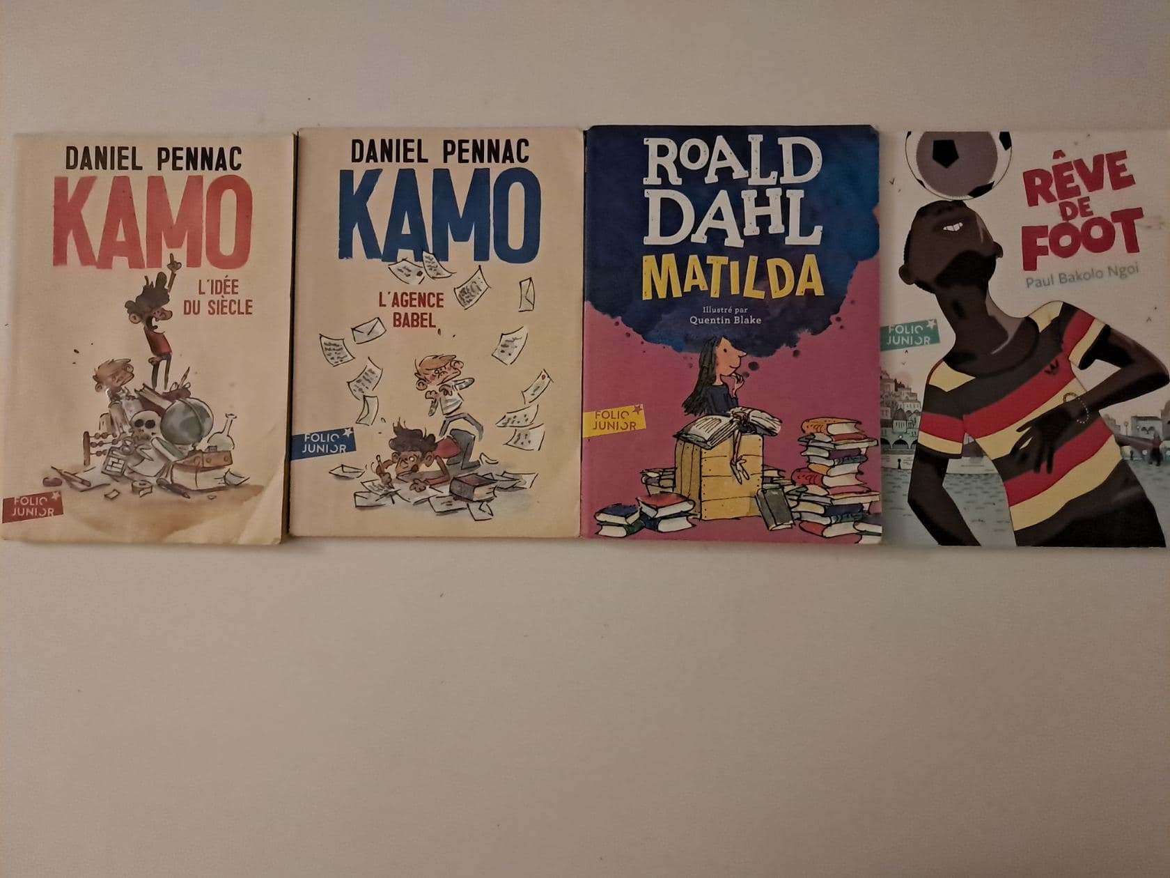 Lot livre français