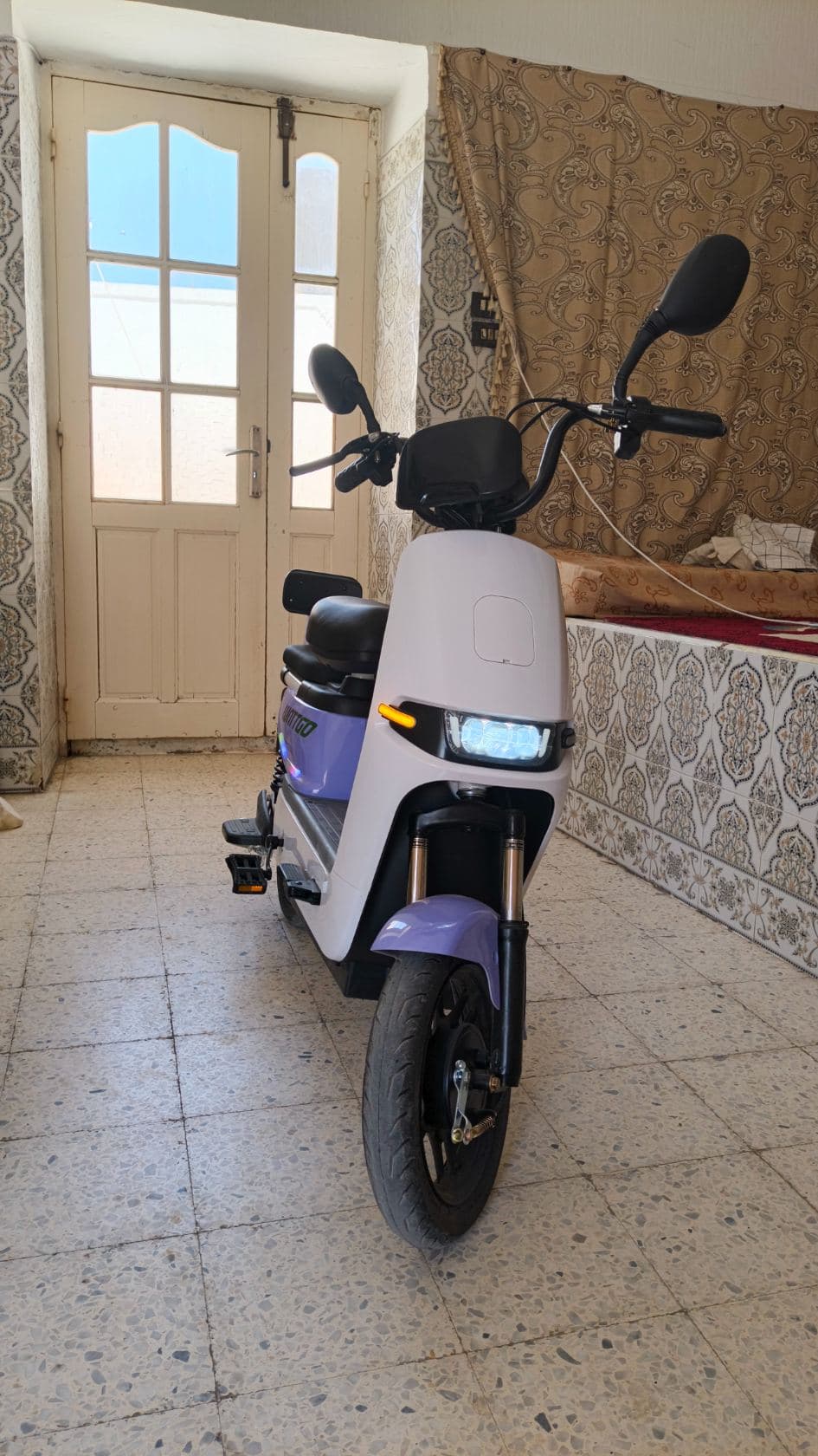 Scooter électrique wnttgo wg009