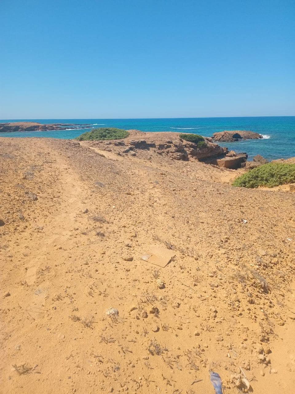 أرض فلاحية