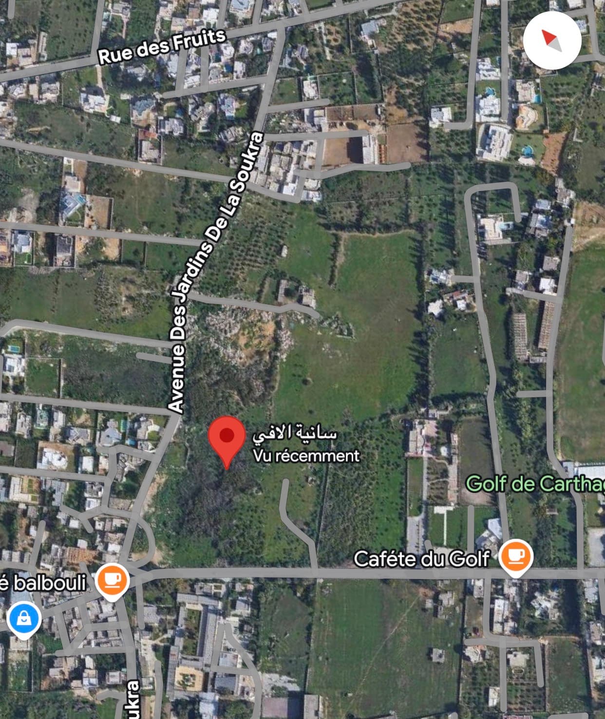 Terrain à vendre avenue des jardins soukra