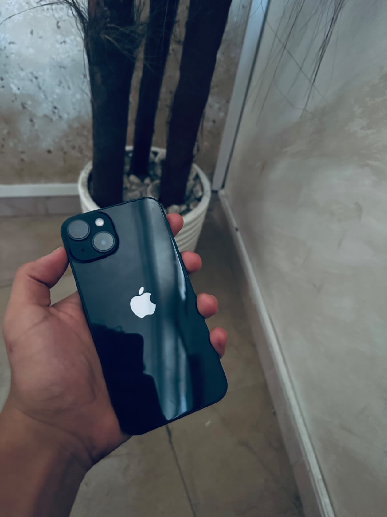 iPhone 14